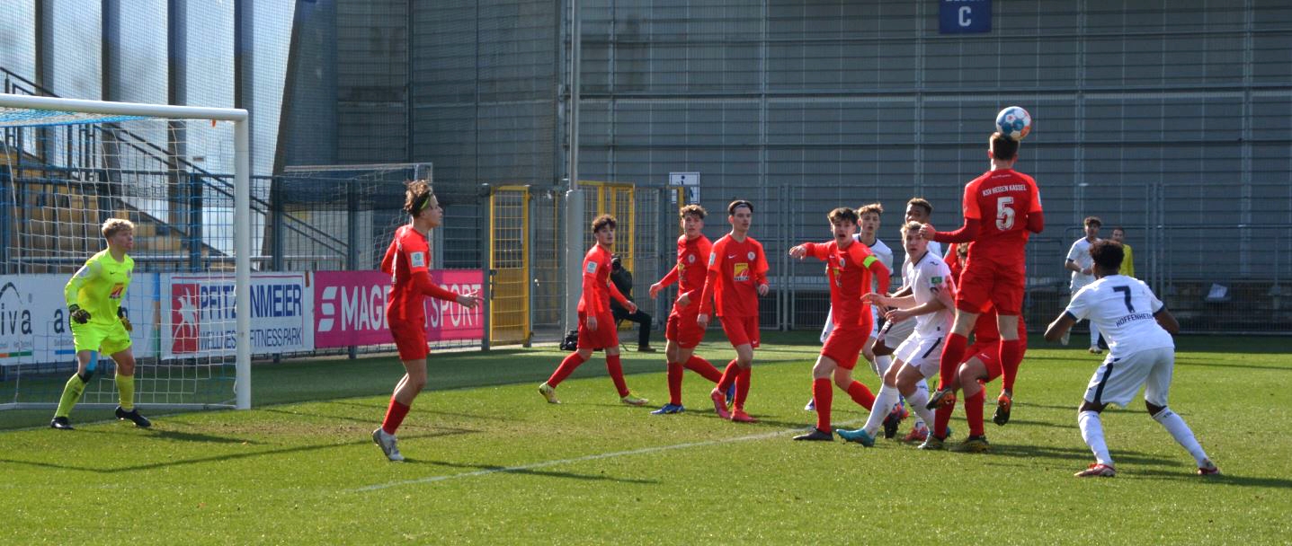 TSG Hoffenheim - U19