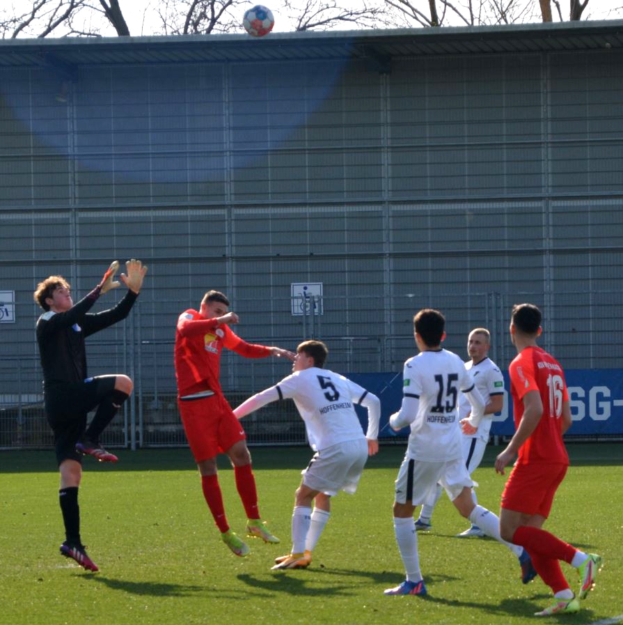 TSG Hoffenheim - U19