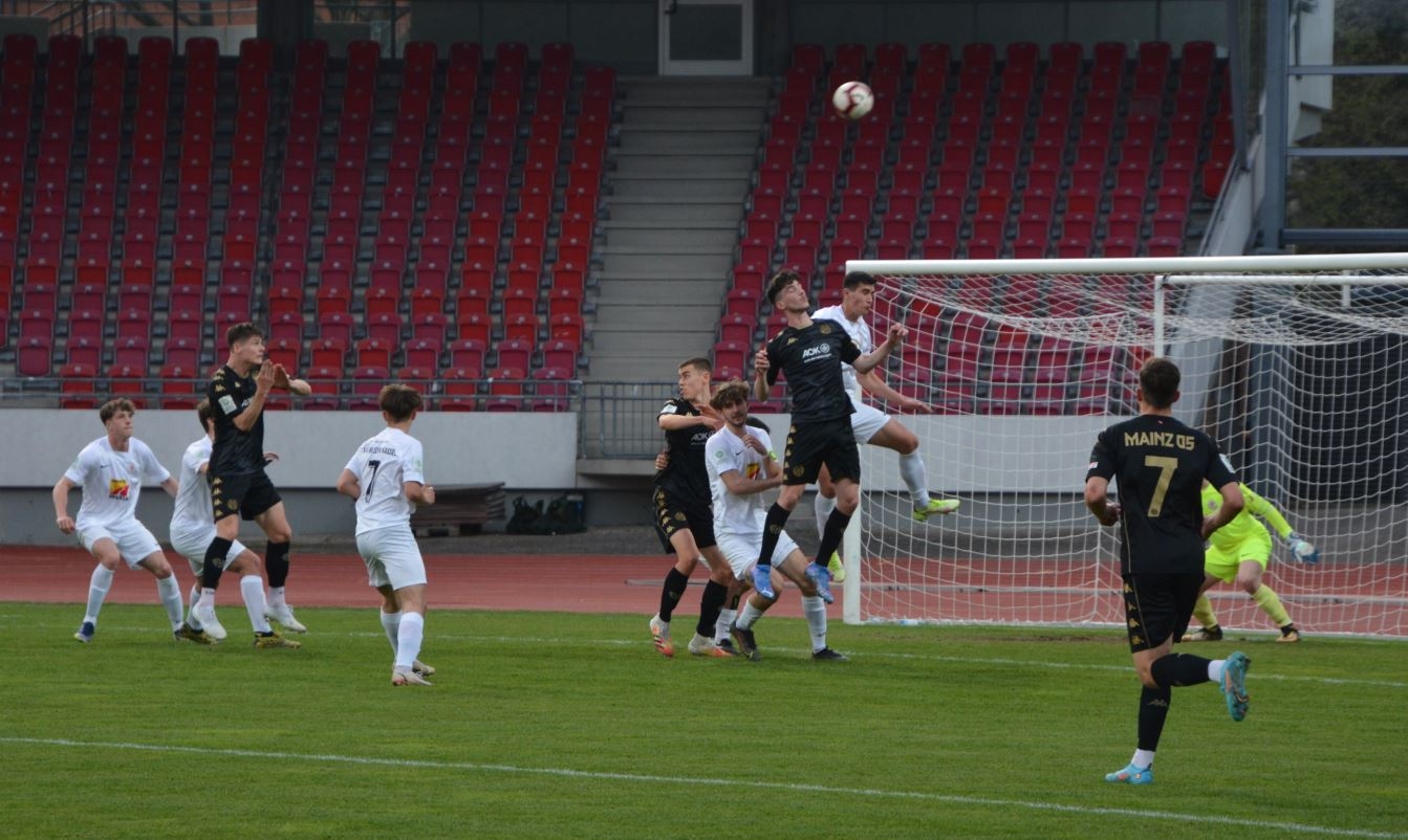 U19 - 1. FSV Mainz 05