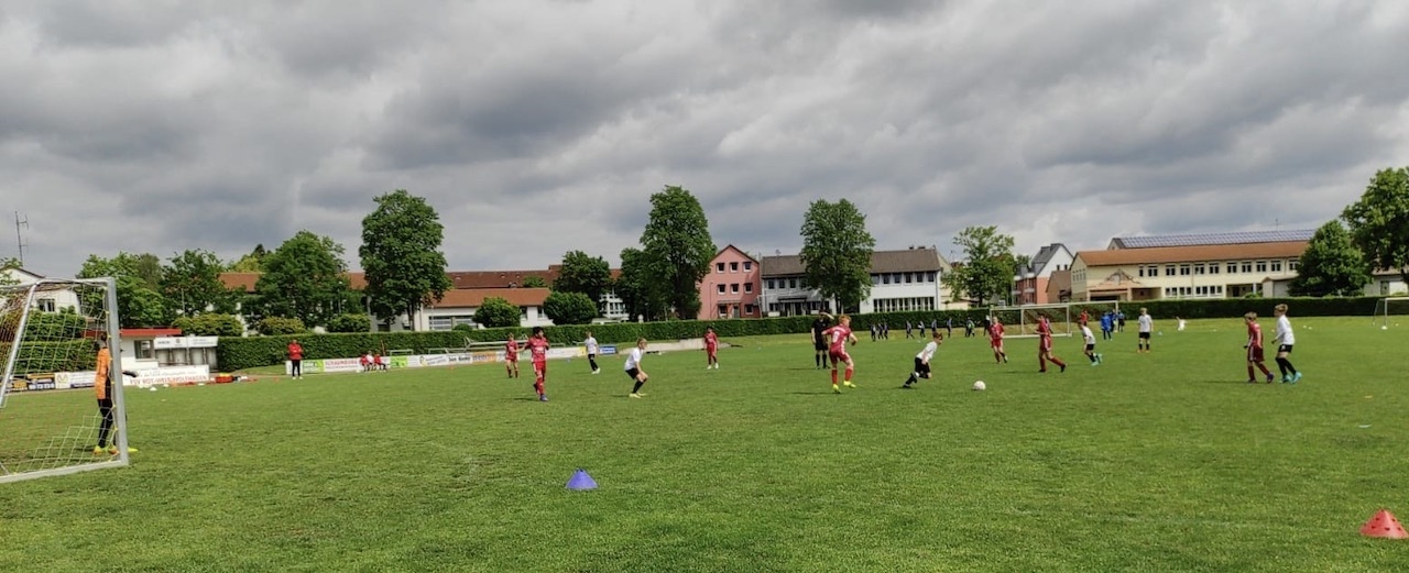 FSV Wolfhagen - U12