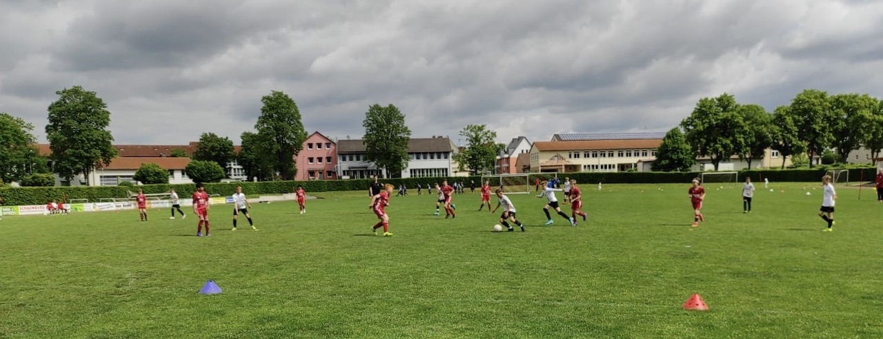 FSV Wolfhagen - U12