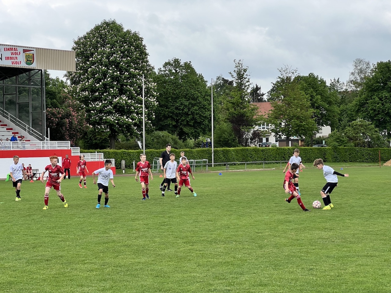 FSV Wolfhagen - U12
