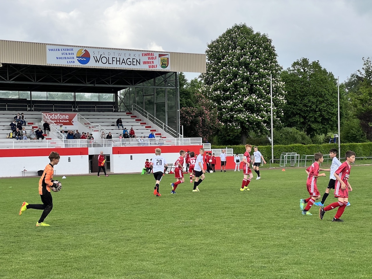 FSV Wolfhagen - U12