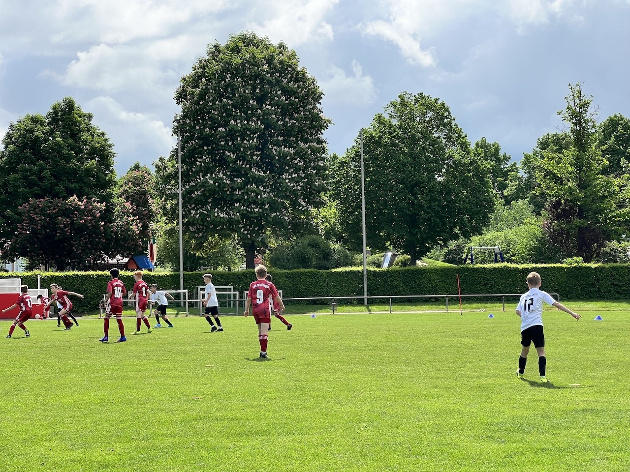 FSV Wolfhagen - U12