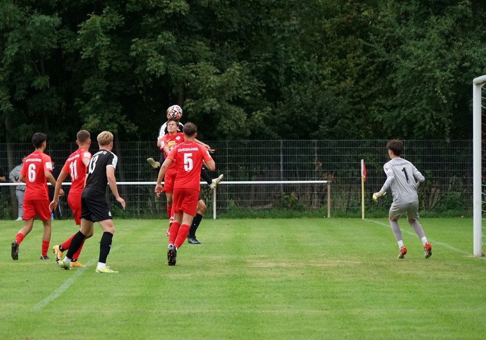 U19 - Hallescher FC