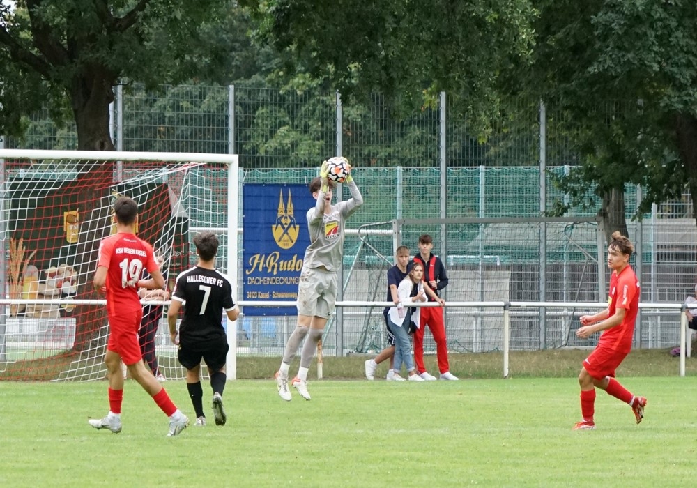 U19 - Hallescher FC