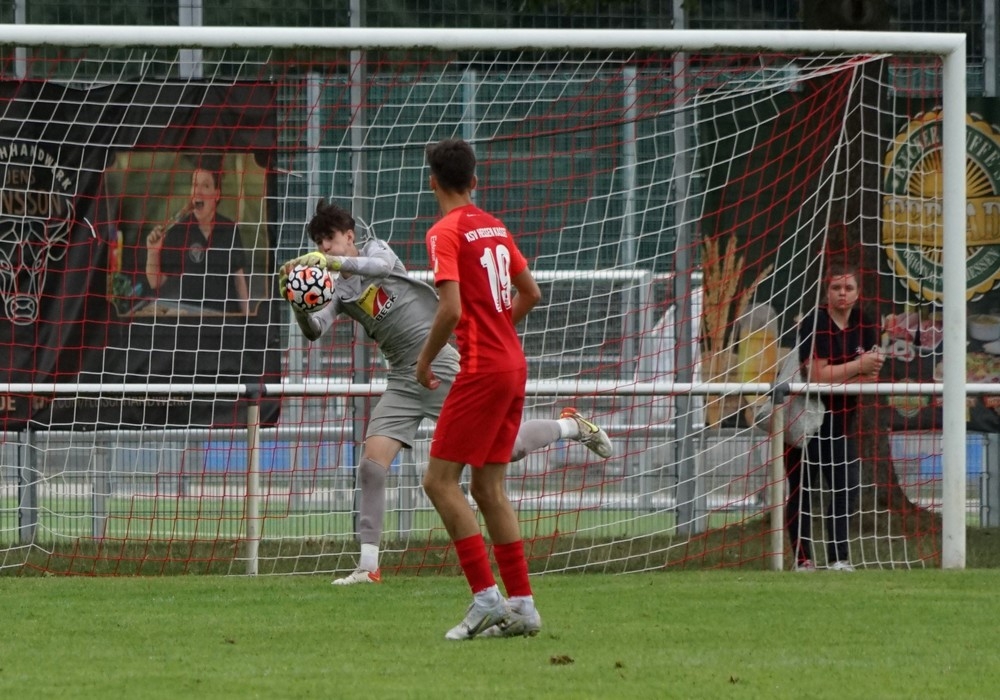 U19 - Hallescher FC