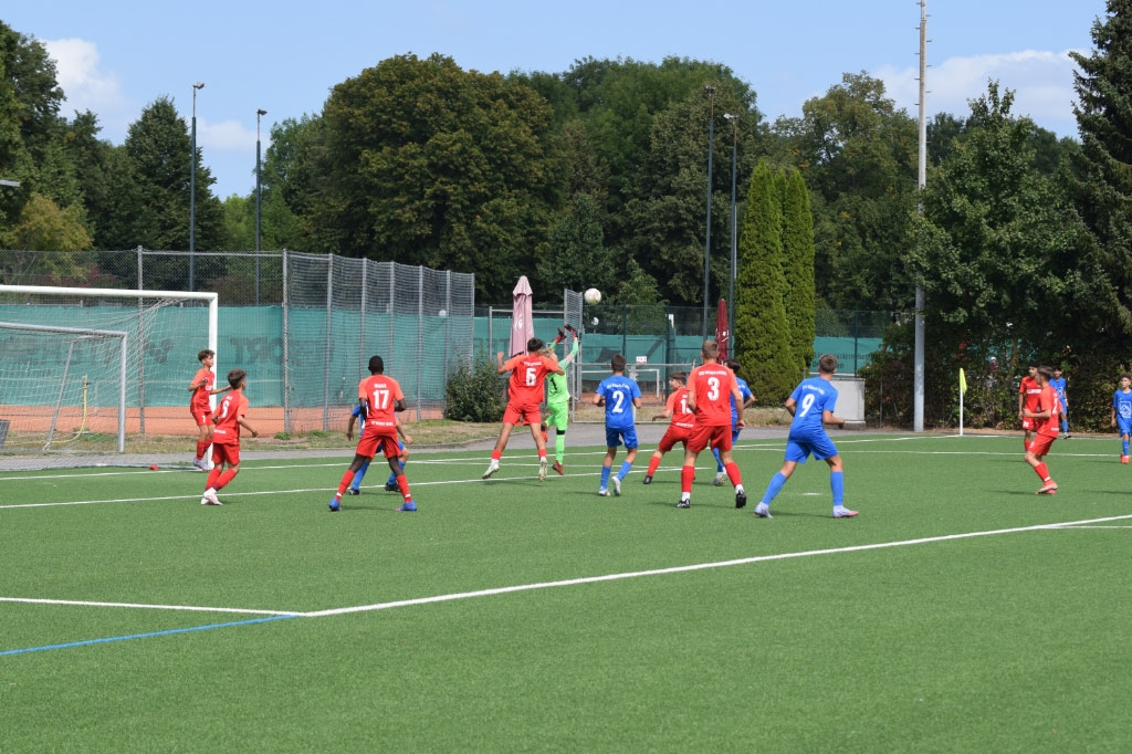 SG Barockstadt Fulda-Lehnerz II - U14