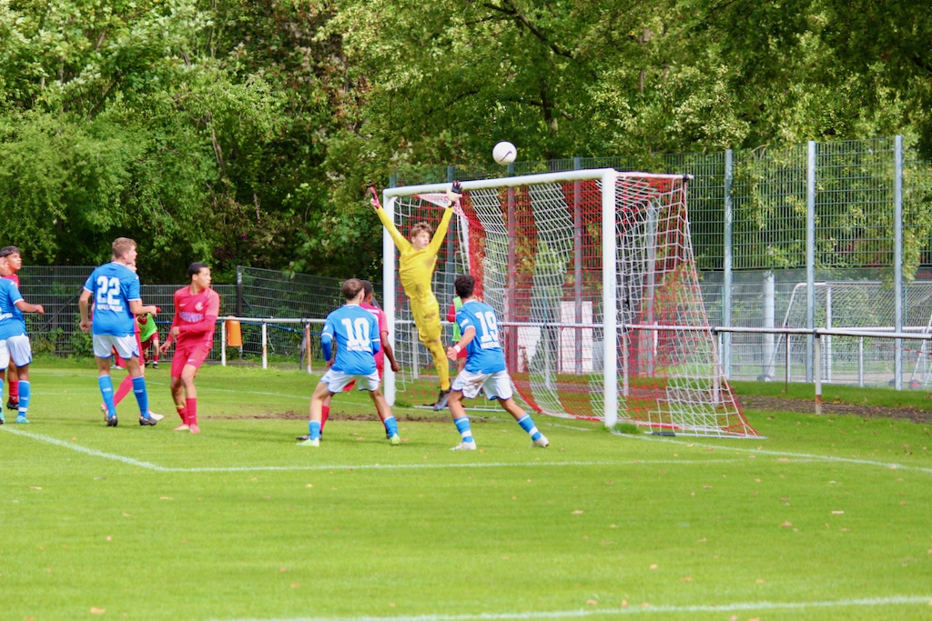 U15 - TSG Hoffenheim