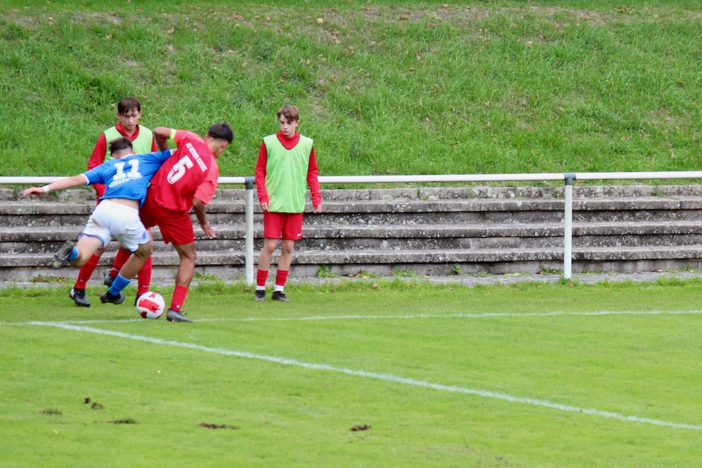 U15 - TSG Hoffenheim