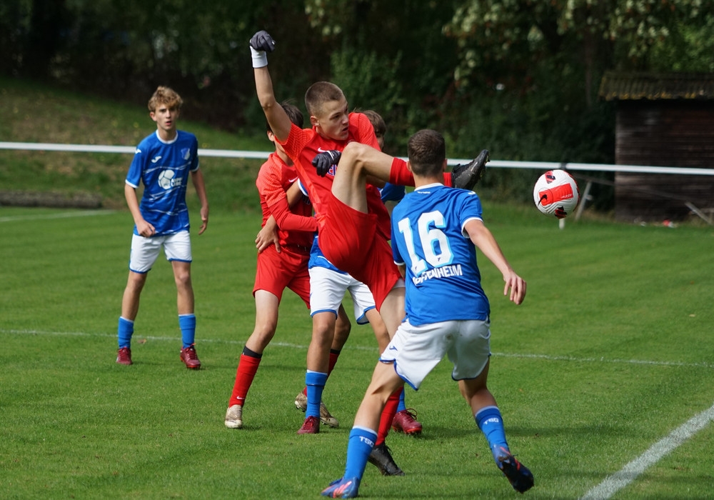 U15 - TSG Hoffenheim