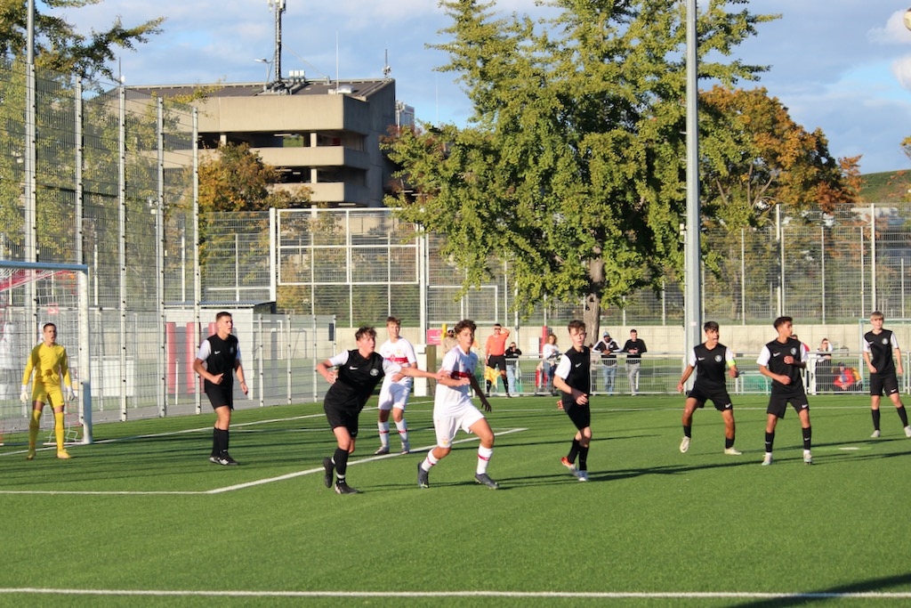VfB Stuttgart - u15