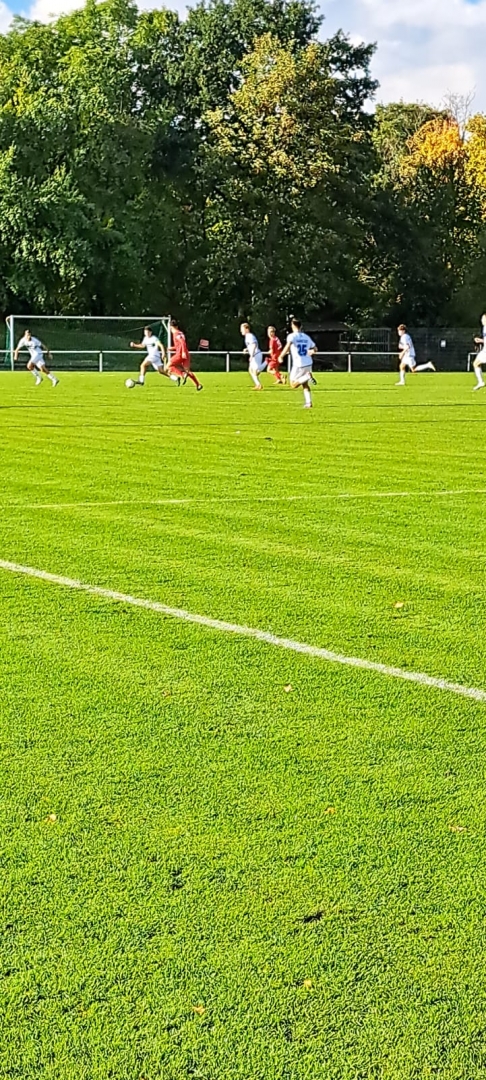 U17 - SV Darmstadt 98 U16