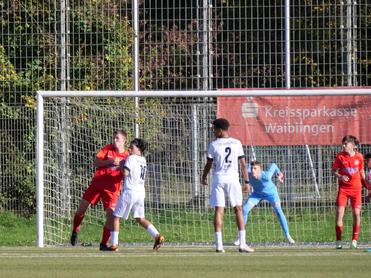 FSV Waiblingen - U15