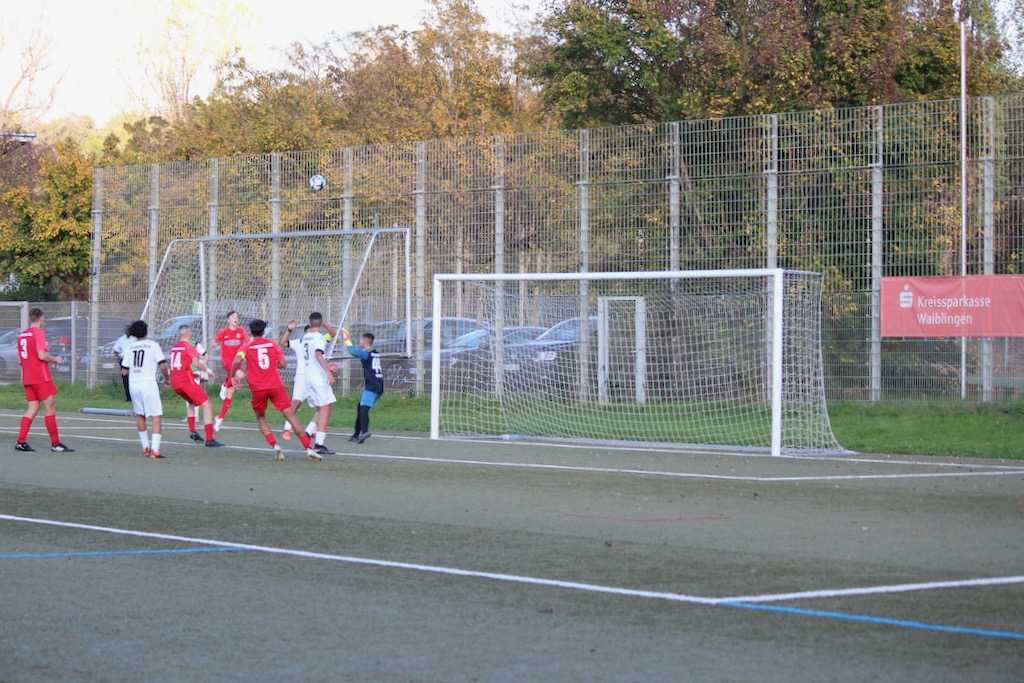 FSV Waiblingen - U15