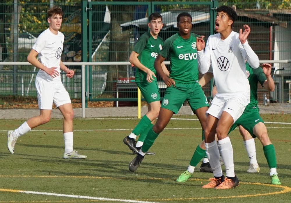 U17 - Kickers Offenbach