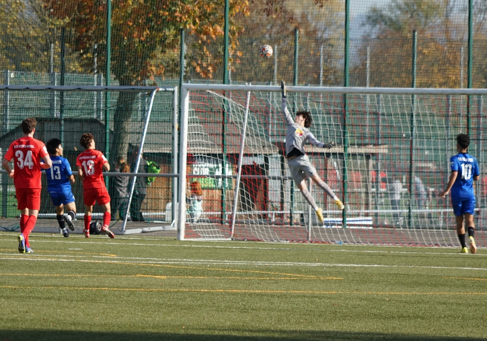 U19 - FSV Frankfurt 