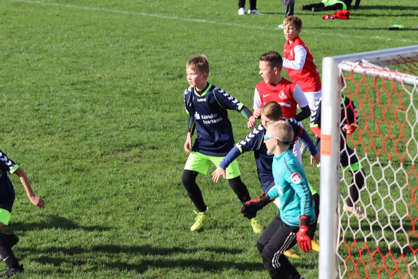 TSV Vellmar - U11