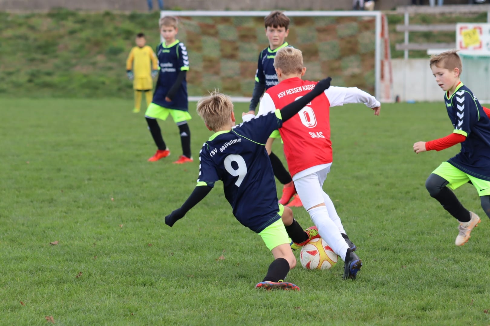 TSV Vellmar - U11