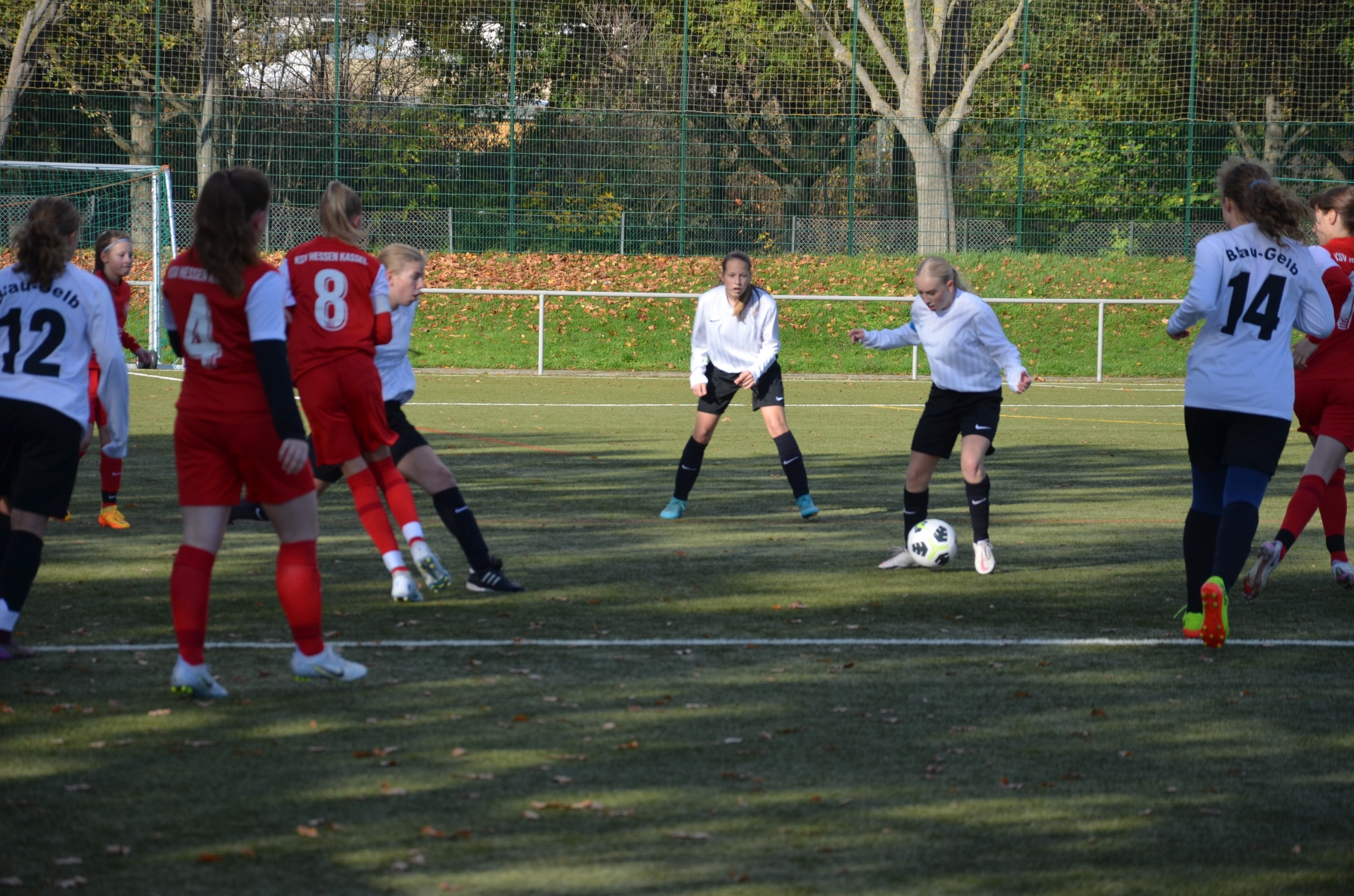 KSV Hessen Kassel - SV Blau-Gelb Frankfurt