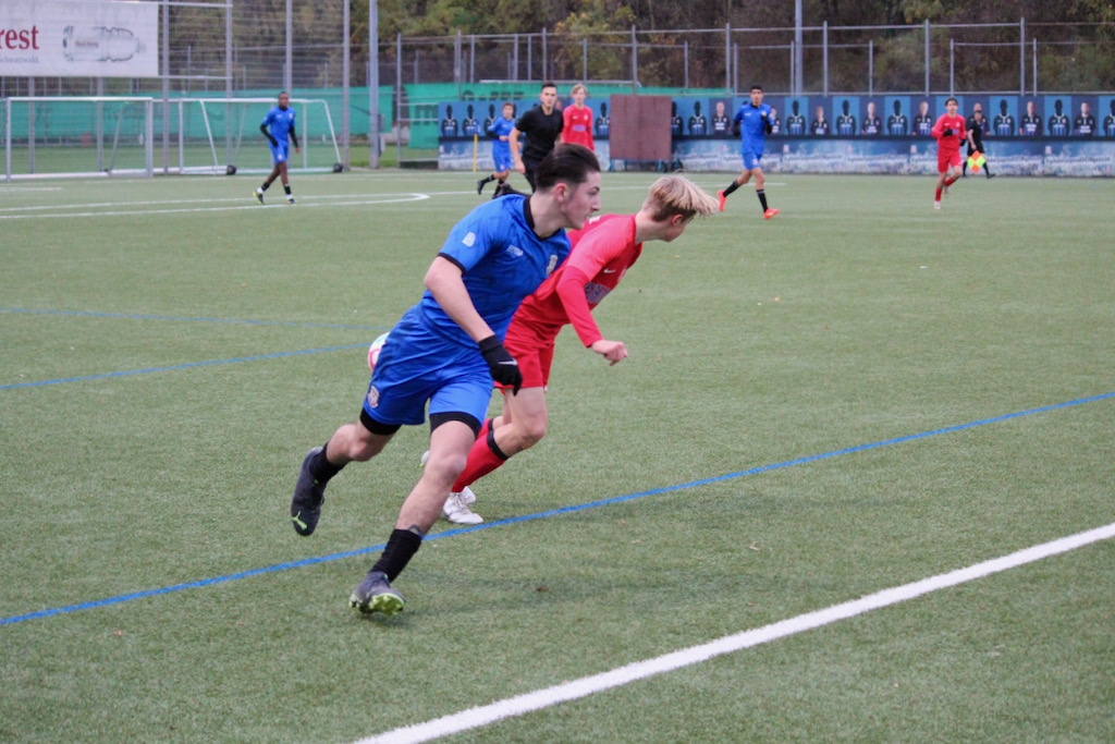 FSV Frankfurt - U15