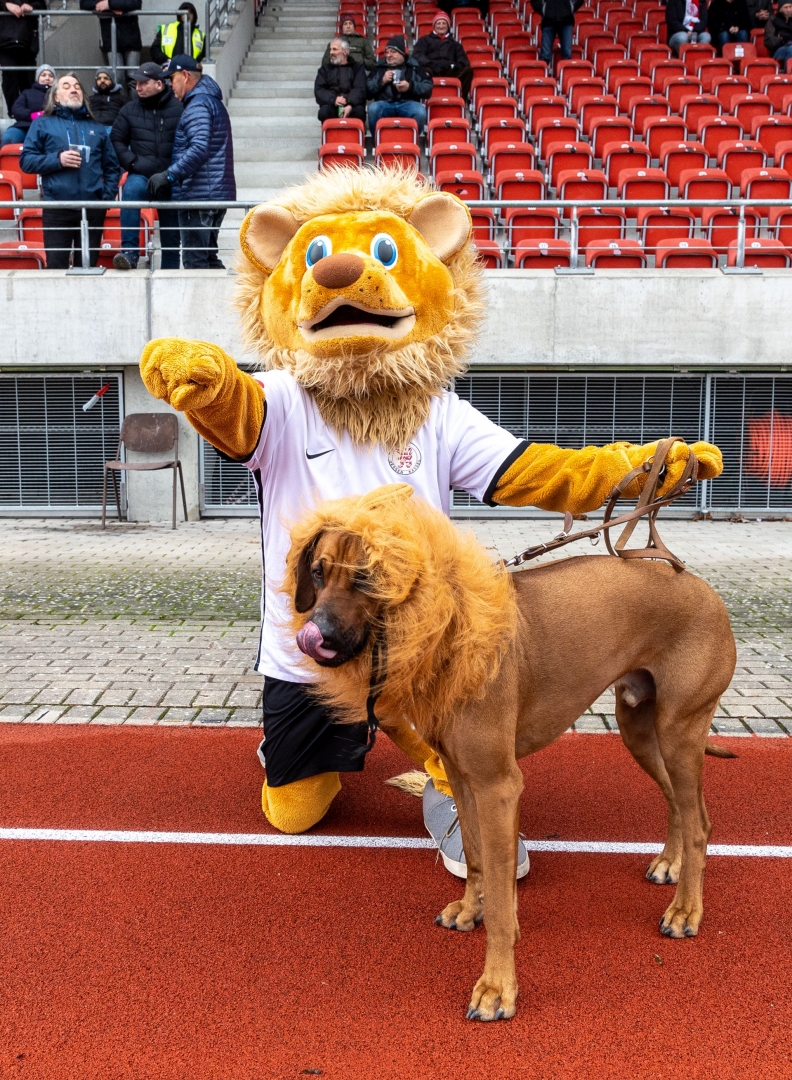 Hessenpokal: KSV Hessen Kassel - TSV Steinbach: Totti mit Hund