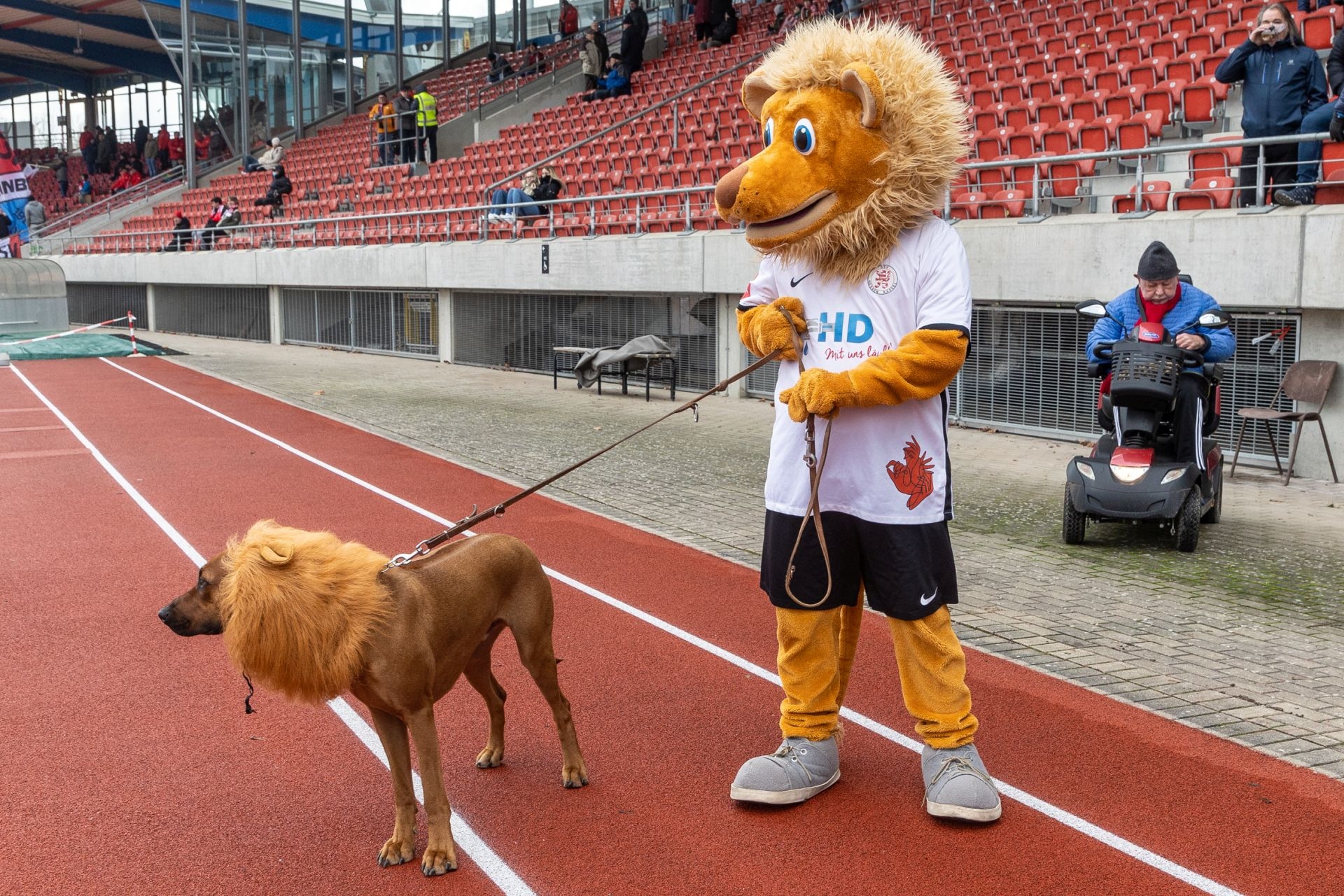 Hessenpokal: KSV Hessen Kassel - TSV Steinbach