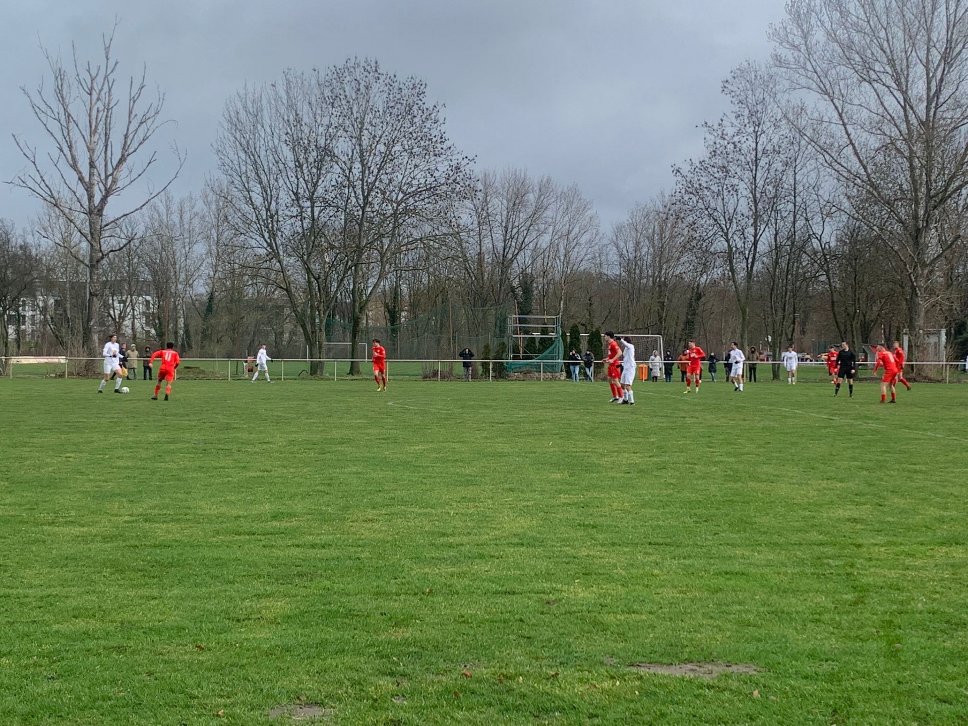 Hallescher FC - U19