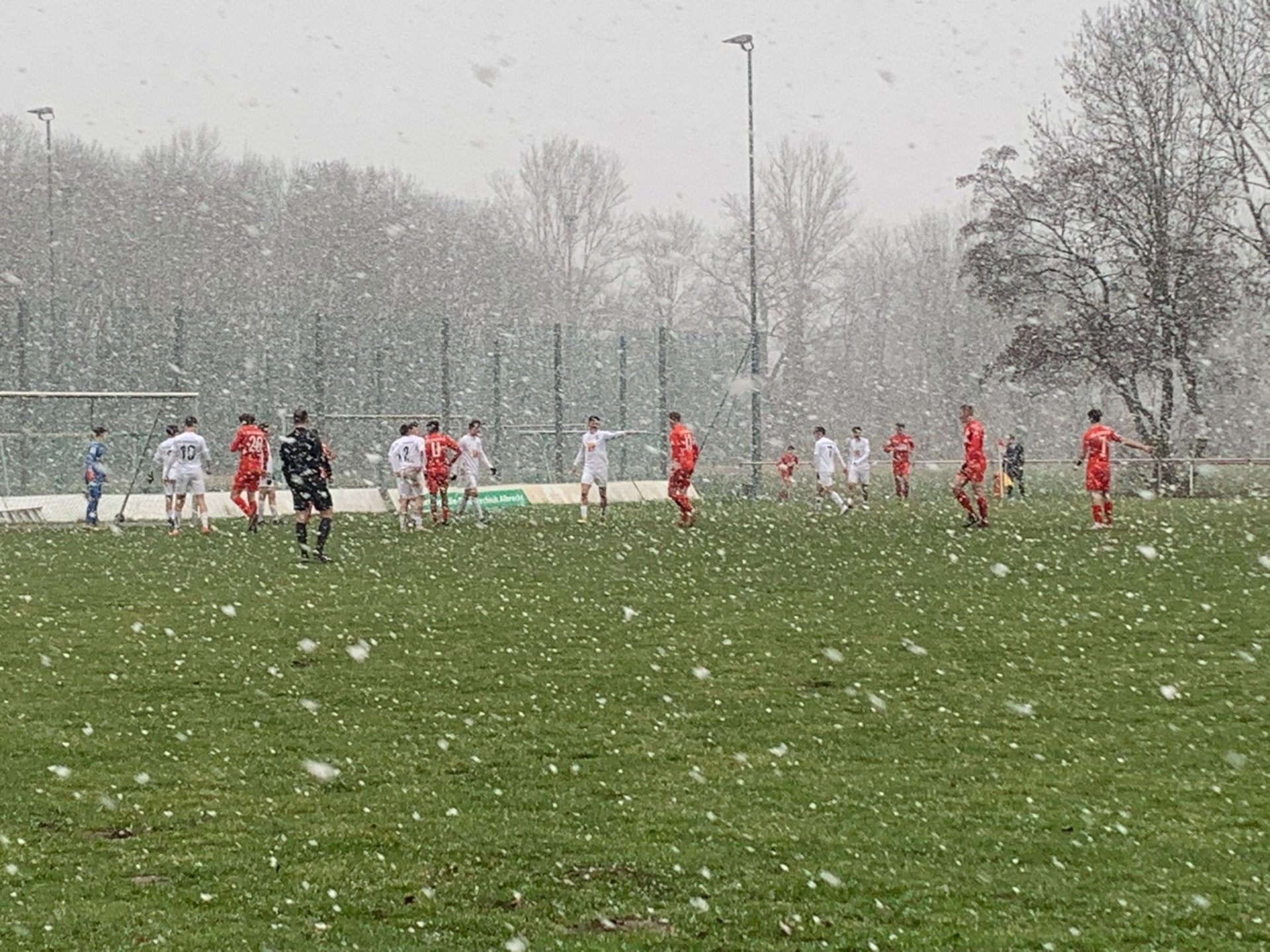 Hallescher FC - U19