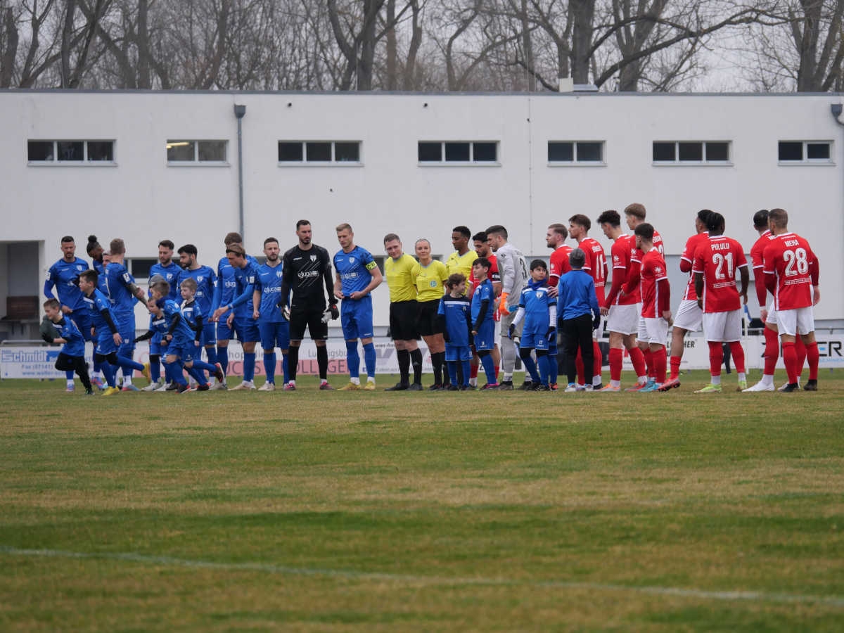 SGV Freiberg - KSV Hessen Kassel