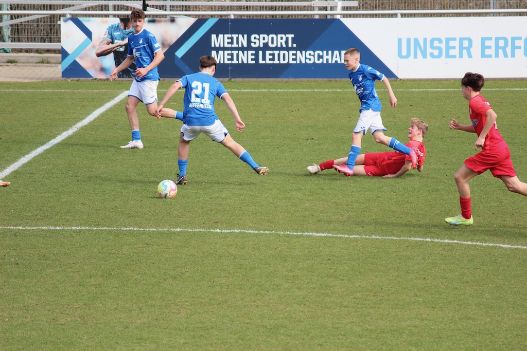 TSG Hoffenheim - U15