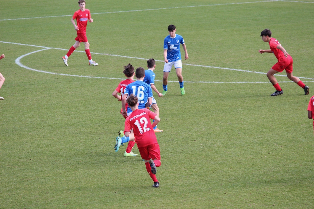 TSG Hoffenheim - U15