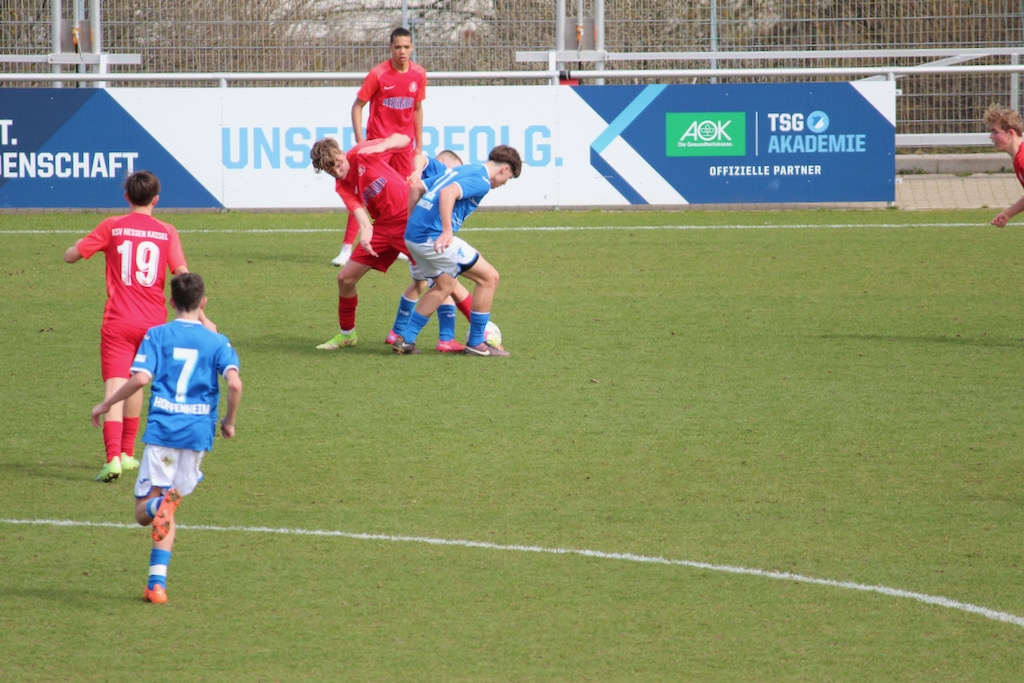 TSG Hoffenheim - U15