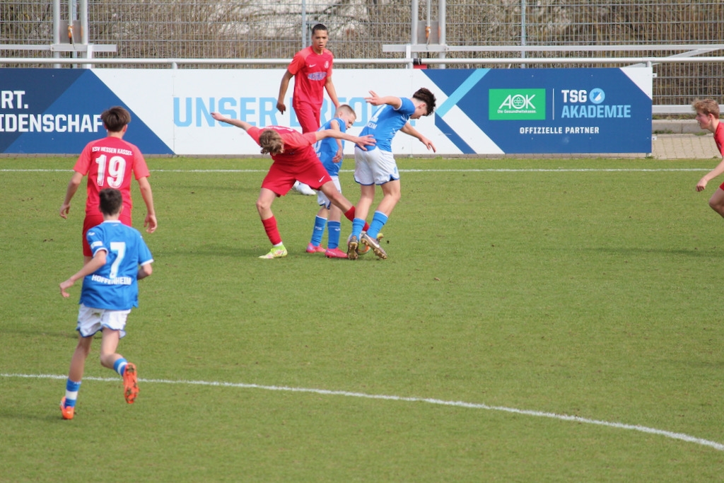 TSG Hoffenheim - U15