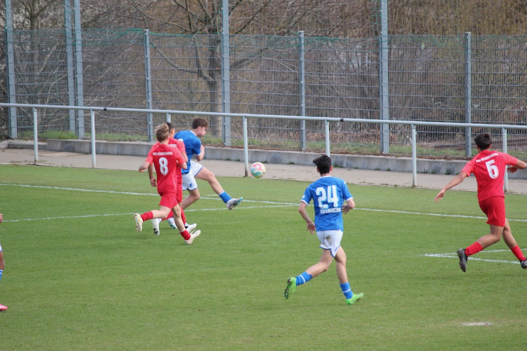 TSG Hoffenheim - U15