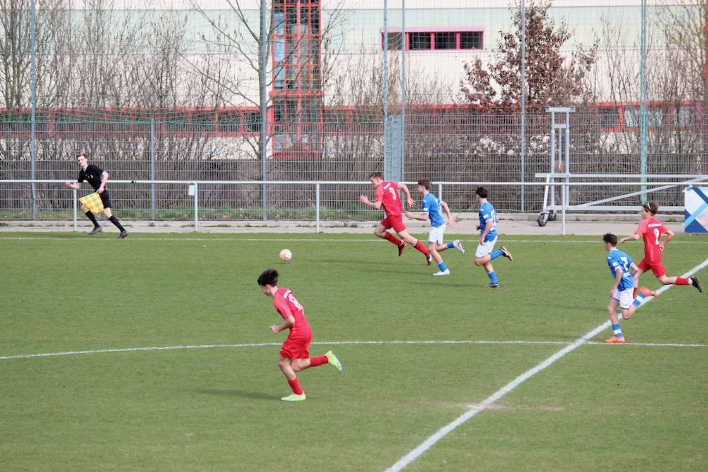 TSG Hoffenheim - U15