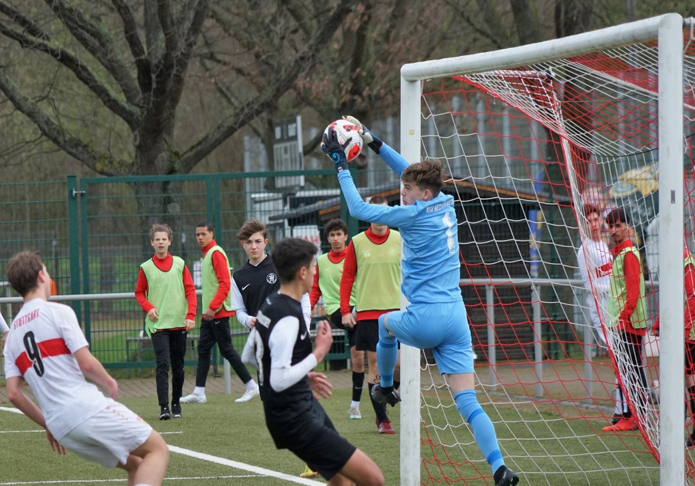 VfB Stuttgart - U15