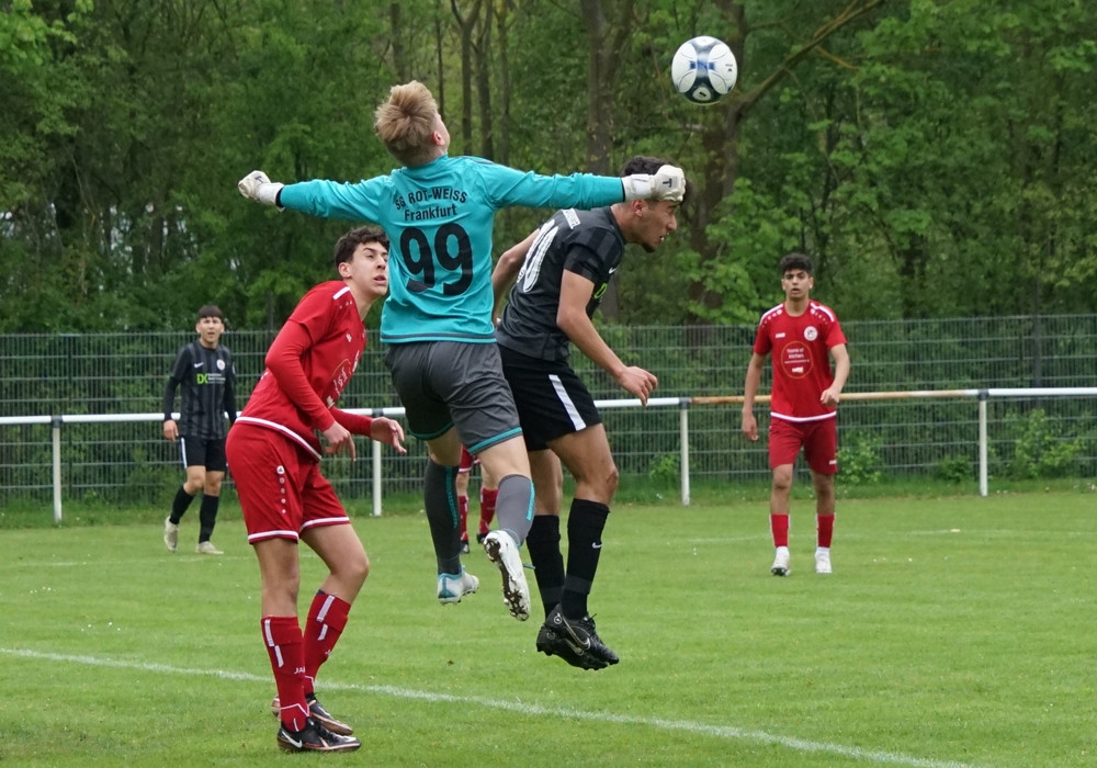 U17 - SG Rot-Weiß Frankfurt