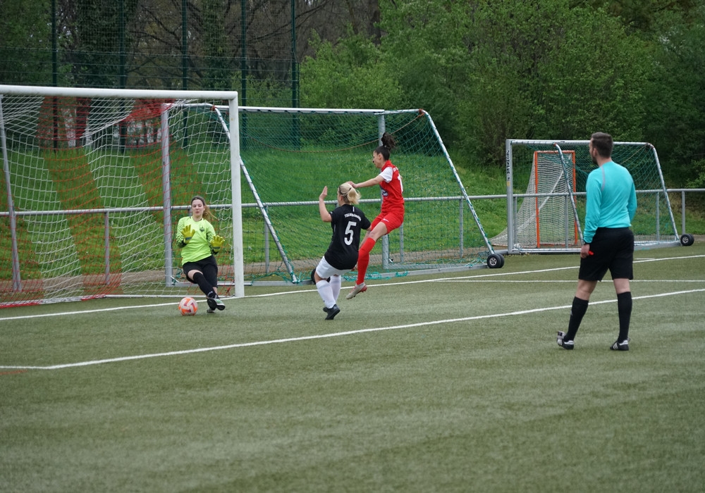 KSV Hessen Kassel II - TSG Wihelmshöhe II