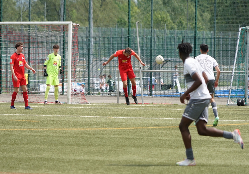 U19 - SG Rot-Weiss Frankfurt