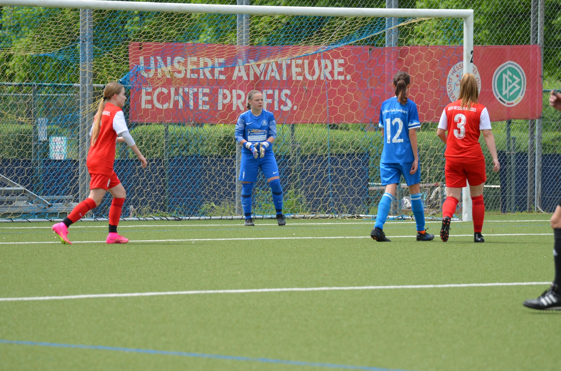 SV Blau-Gelb FFM - KSV Hessen Kassel