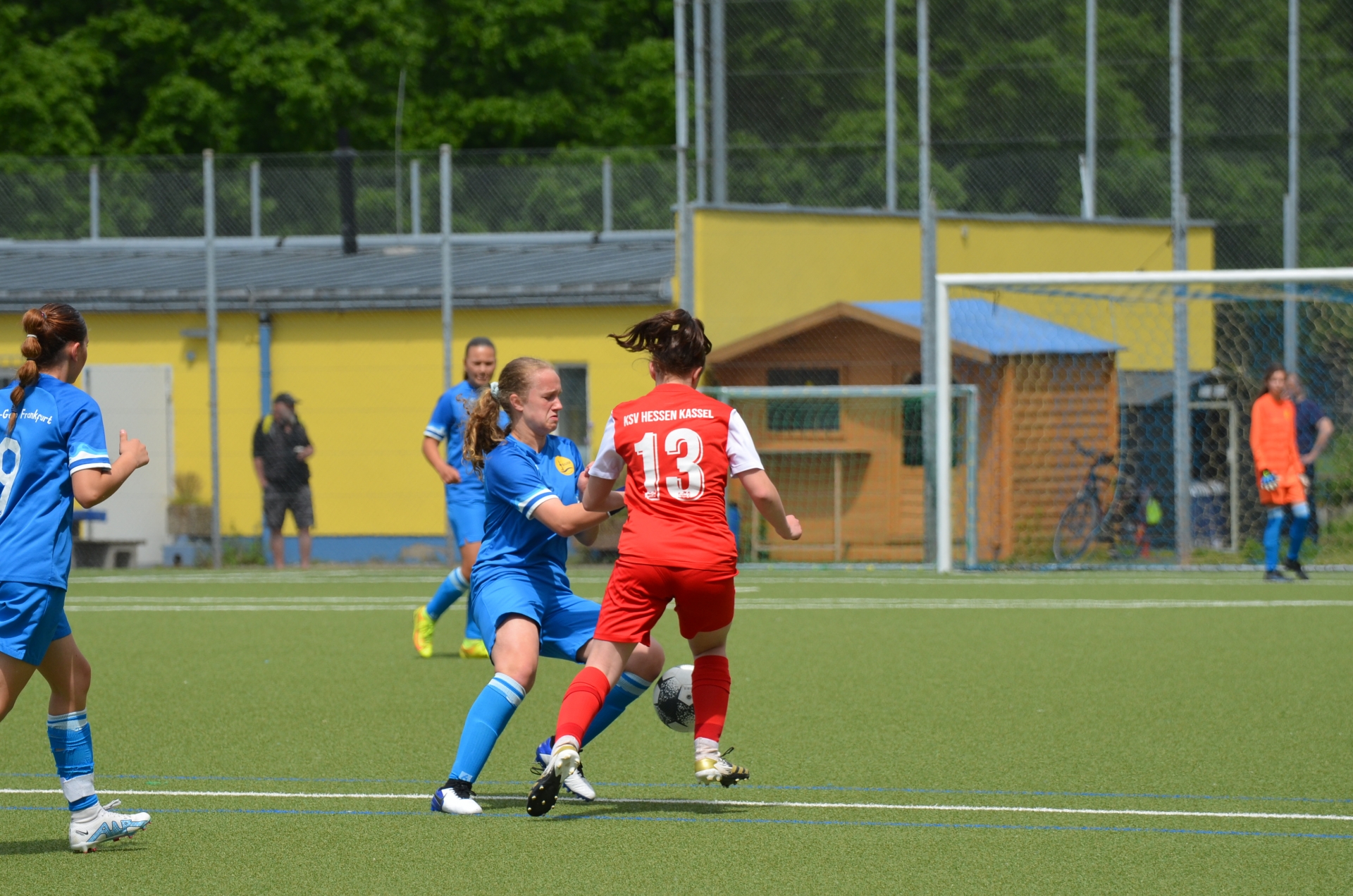 SV Blau-Gelb FFM - KSV Hessen Kassel