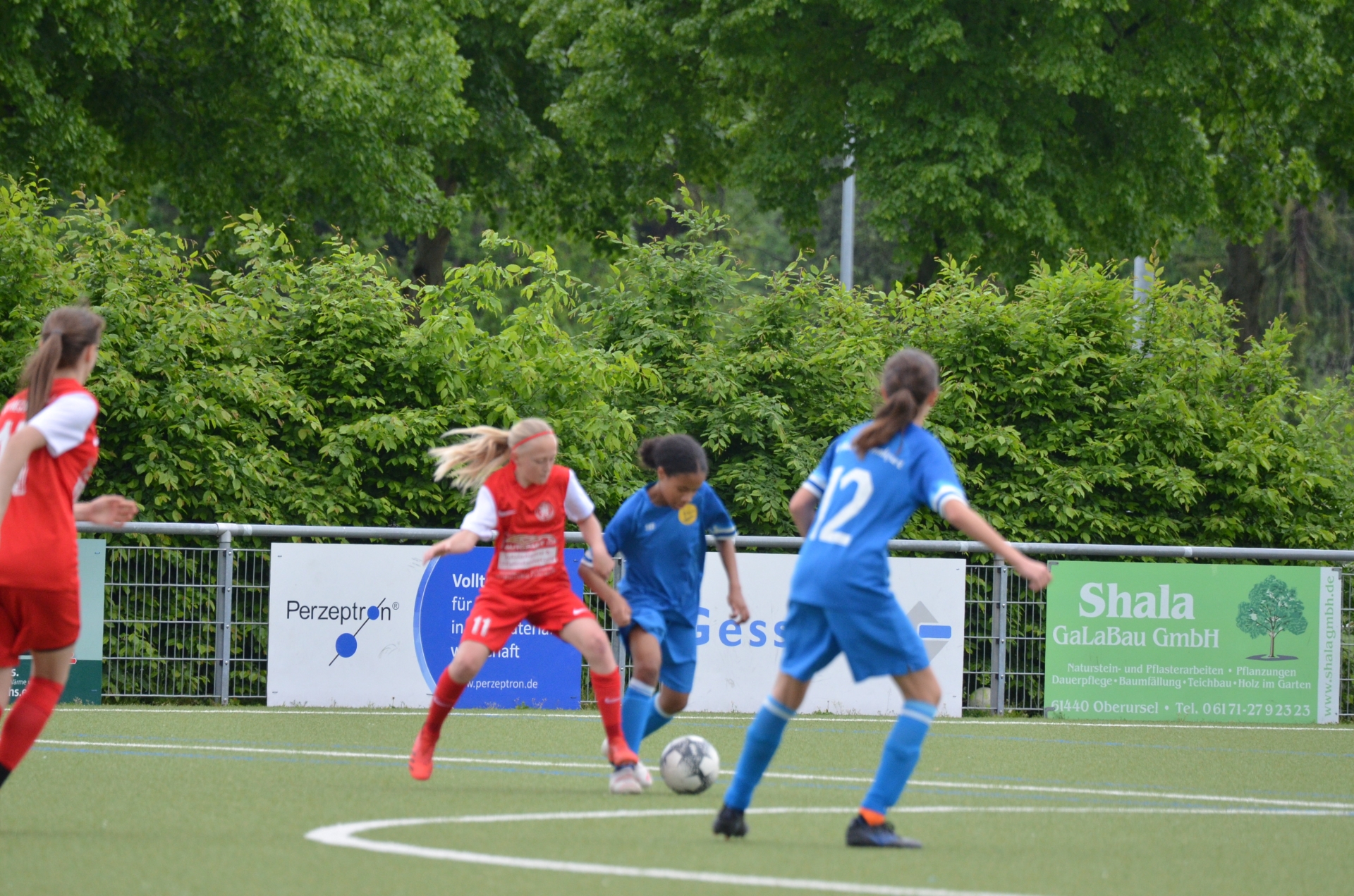 SV Blau-Gelb FFM - KSV Hessen Kassel