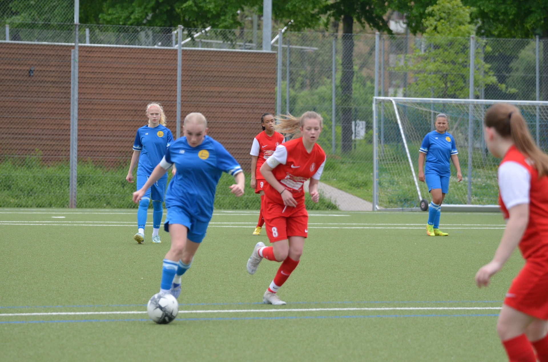 SV Blau-Gelb FFM - KSV Hessen Kassel