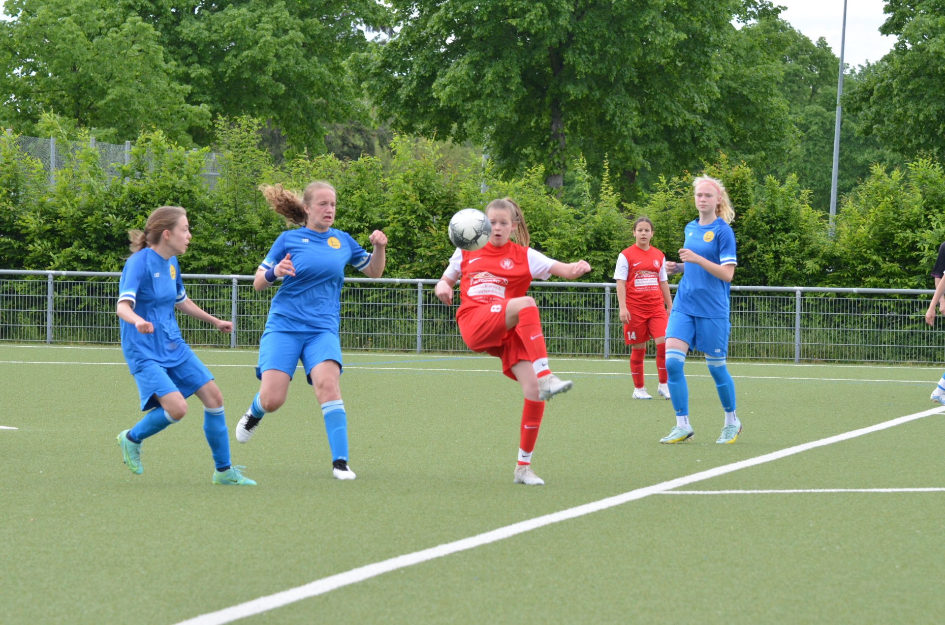 SV Blau-Gelb FFM - KSV Hessen Kassel