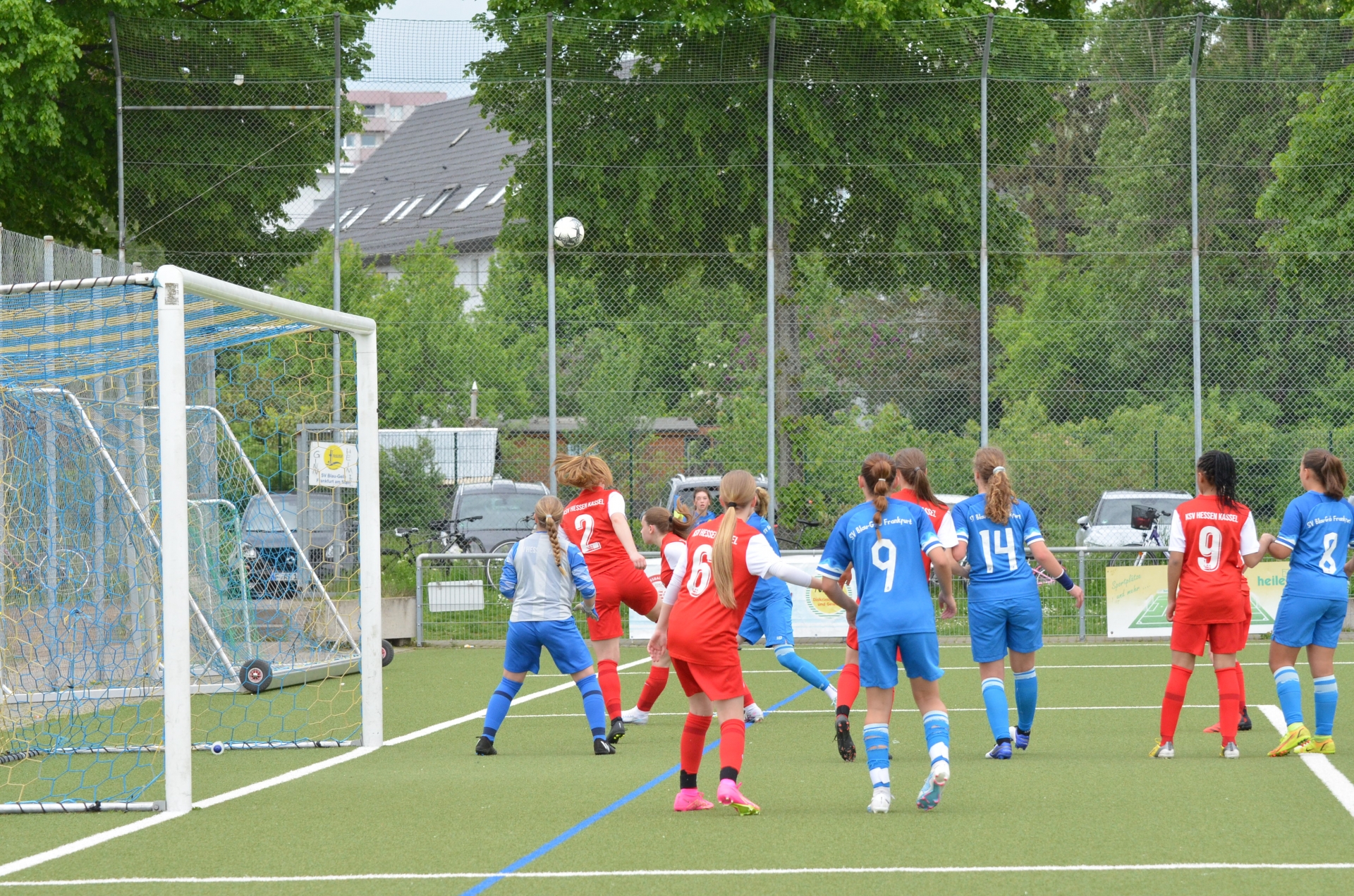 SV Blau-Gelb FFM - KSV Hessen Kassel