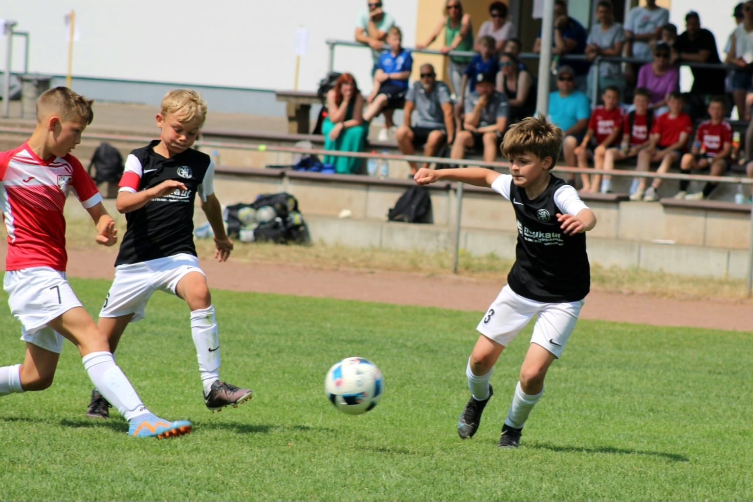 U11 Regionalmeisterschaft