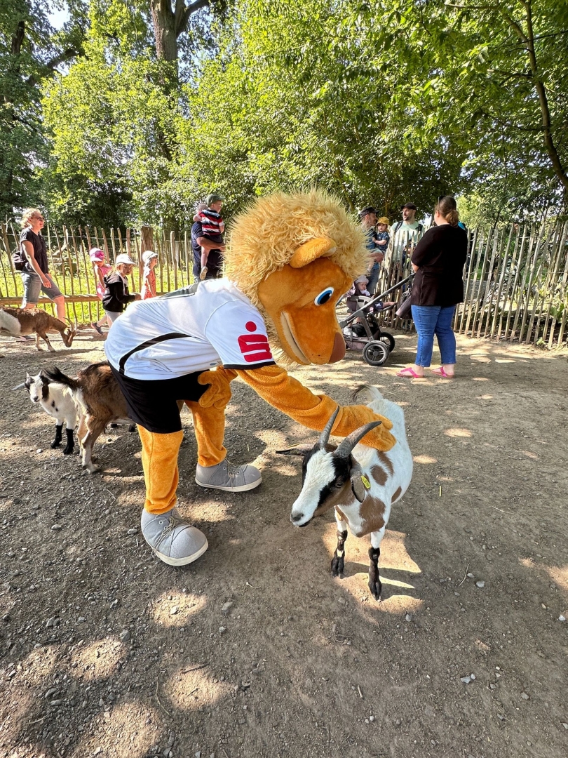 Tierparklauf Sababurg 2023