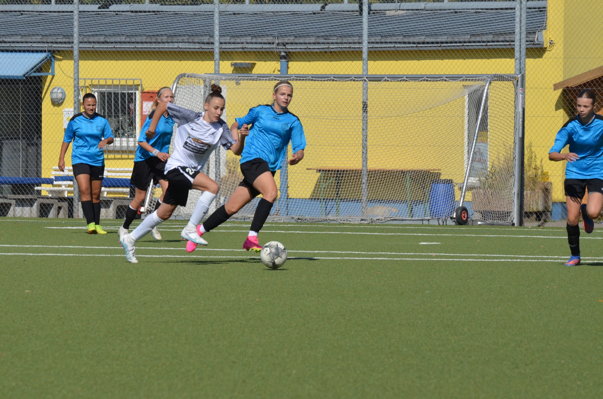 SV Blau-Gelb FFM - KSV Hessen Kassel