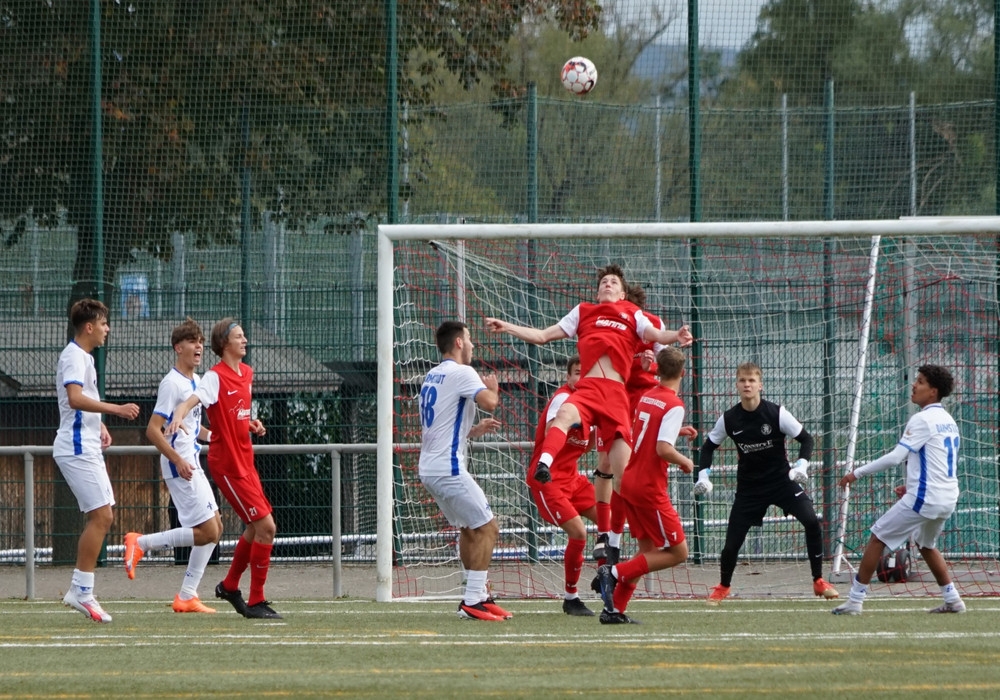 U17 . Darmstadt 98